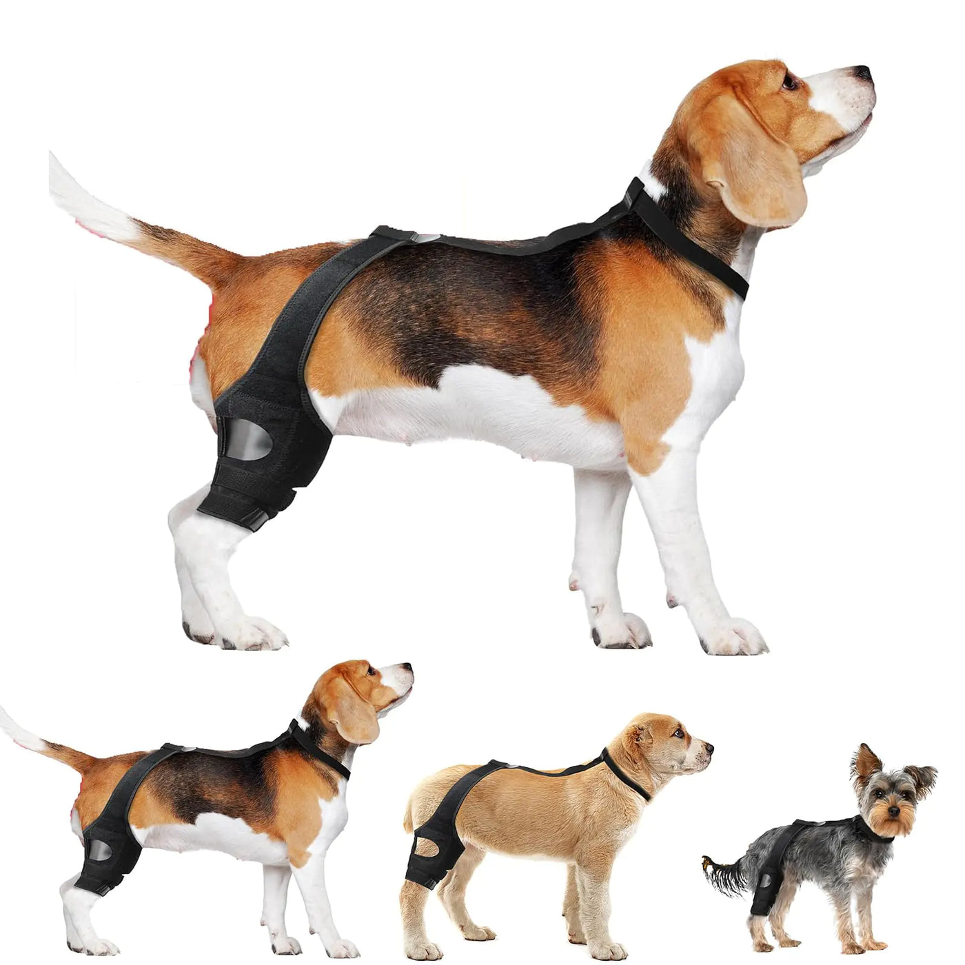 vurfoo Dog Knee Brace for Torn ACL Hind Leg Dog ACL Brace Hind Leg Hip Rear Legs Support Brace Adjustable Dog Brace for ACL Tear Back Leg for Luxating Patella (Large)