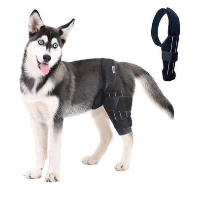 Dog Knee Brace Hip Displaysia Dog Support Brace Dog ACL Brace Hind Leg Dog ACL Knee Brace Dog Knee Brace for Luxating Patella ACL Brace for Dogs Rear Leg Dog Hip Support brace (M - Left)
