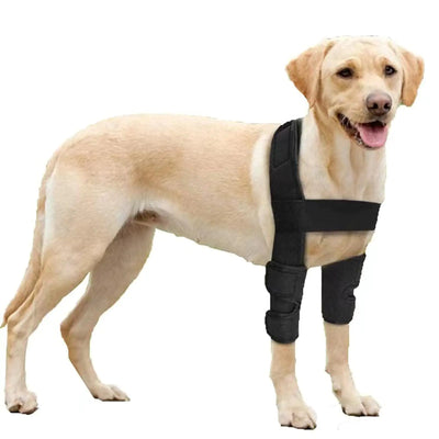 Dog Elbow Brace Dog Shoulder Brace for Elbow Support and Protection Dog Elbow Pads for Elbow Hygroma Arthritis Dysplasia Elbow Calluses Shoulder Dislocation Elbow Brace (L)